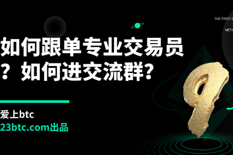 如何跟单专业交易员？如何进交流群？