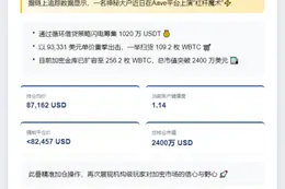鲸鱼借1020万USDT增持109枚WBTC