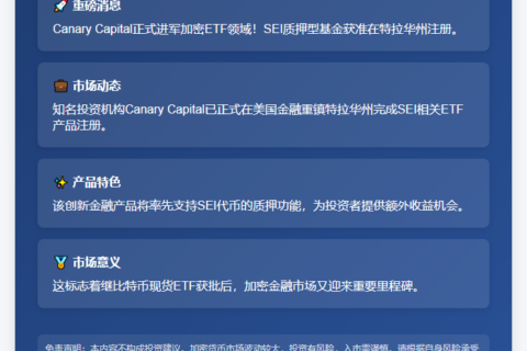 "SEI质押ETF开放注册"