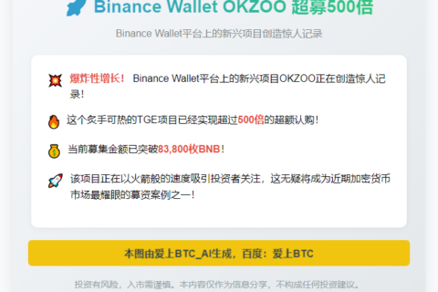 Binance Wallet OKZOO 超募500倍
