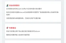 警惕！Solscan钓鱼广告现身谷歌搜索结果