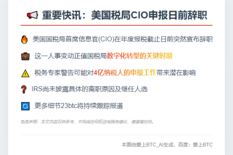 美国税局CIO申报日前辞职