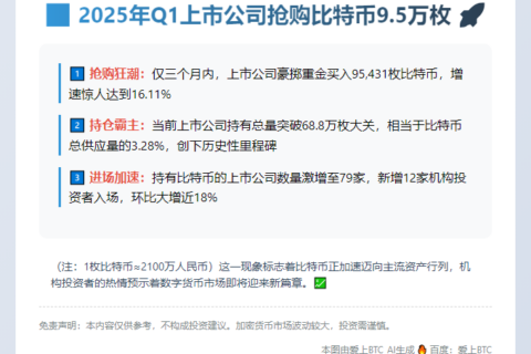 2025年Q1上市公司抢购比特币9.5万枚