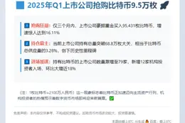 2025年Q1上市公司抢购比特币9.5万枚