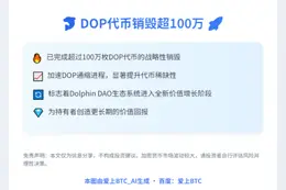 "DOP代币销毁超100万"
