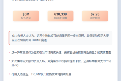 "两新钱包豪掷500万购63万枚TRUMP"