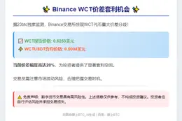 Binance上WCT现货合约价差显著