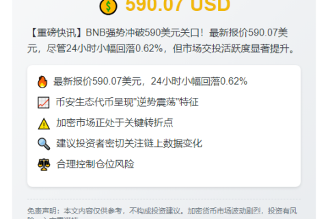 BNB冲上590美元