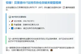 贝莱德IBIT持仓66万枚比特币