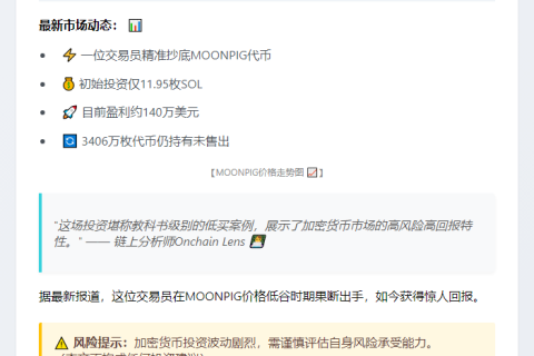 交易员低买MOONPIG盈利140万美元