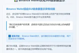 Binance Wallet优化Sui链余额显示