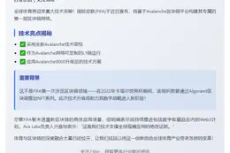 国际足联在雪崩链上建区块链