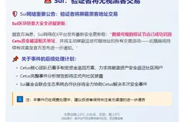 “Sui：验证者将无视黑客交易”