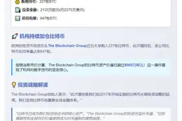 欧洲比特币公司The Blockchain Group增持227枚BTC