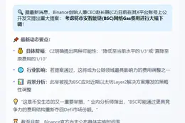 CZ建议削减BSC链Gas费
