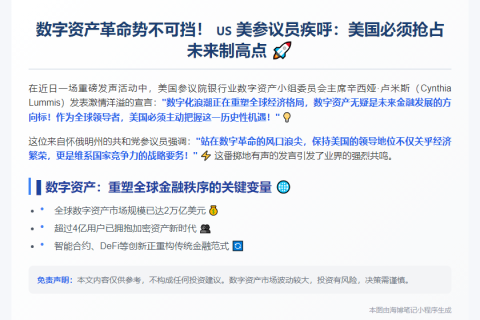 卢米斯：美国应领航数字资产未来