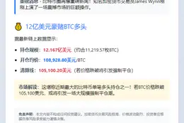 James Wynn增持12亿美元比特币多单