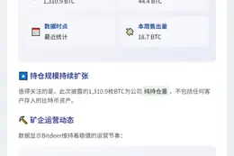 Bitdeer比特币持仓增至1310枚