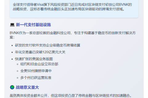 Visa 投资区块链支付公司 BVNK
