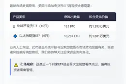 美比特币ETF净流出132枚BTC