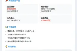 巨鲸再度平仓2407枚BTC 清算价10.6万美元