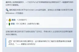 巨鲸10分钟提币1200枚BTC