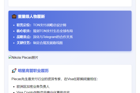 TON基金任命前Visa高管负责支付业务