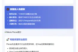 TON基金任命前Visa高管负责支付业务