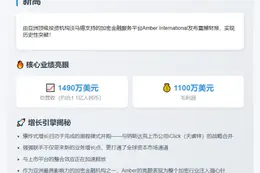Amber Q1收入突破1490万美元