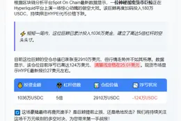 巨鲸5倍杠杆做空HYPE 亏124万