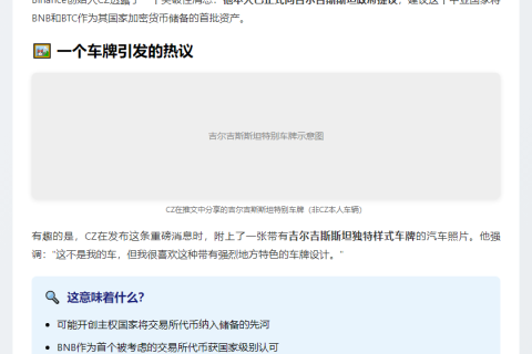吉尔吉斯斯坦或储备BNB、BTC