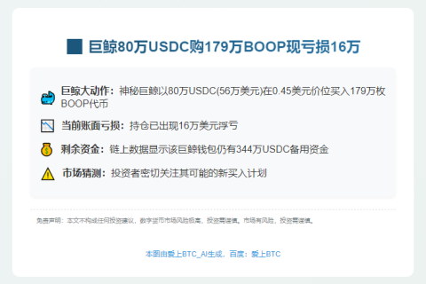 鲸鱼80万USDC购179万BOOP 现亏16万