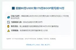 鲸鱼80万USDC购179万BOOP 现亏16万