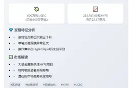 鲸鱼斥600万USDC抄底HYPE
