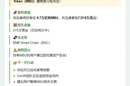 BSC链Mobius Token遭攻击损失215万