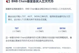 BNB Chain基金买TST、AIOT、SKYAI代币