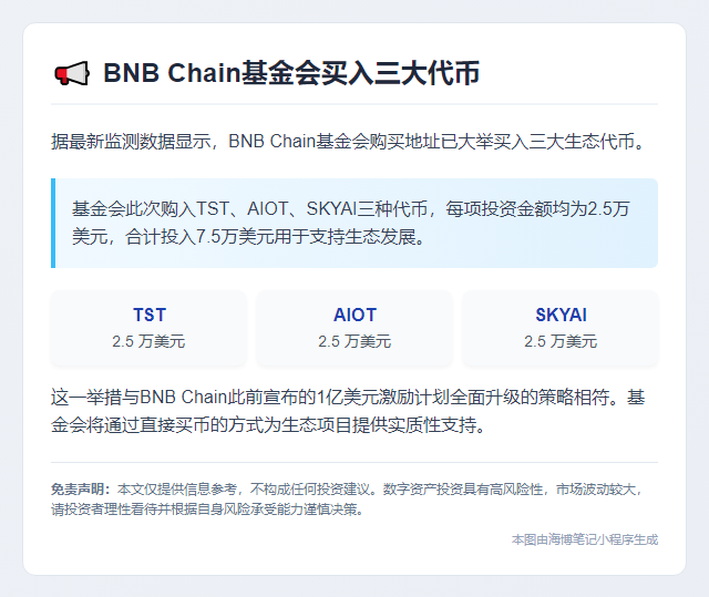BNB Chain基金买TST、AIOT、SKYAI代币