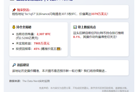 巨鲸从币安提取307.5枚BTC，价值3379万美元