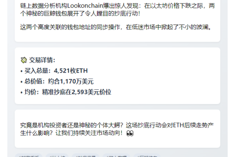 地址抄底4521枚ETH 均价2593美元