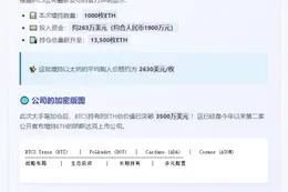 BTCS斥资263万美元增持1000枚ETH