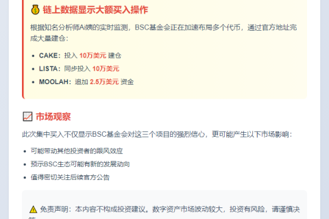 "BSC基金会增持CAKE、LISTA与MOOLAH"