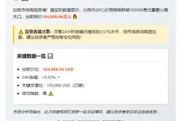 BTC失守105000美元