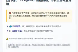 币安：ZKJ、KOGE暴跌因大户撤资与连环清算