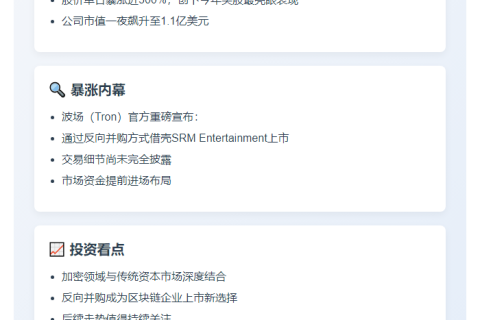 "美股SRM暴涨300%，市值破亿"