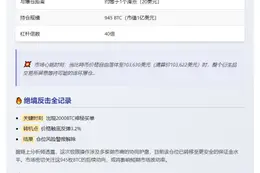 Wynn 的 BTC 亏损 217 万后反弹