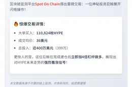 巨鲸斥资399万美元做多HYPE