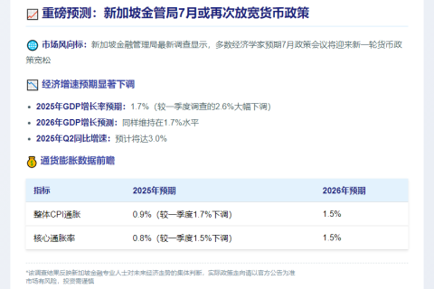 新金管局调查：预计7月再放宽政策