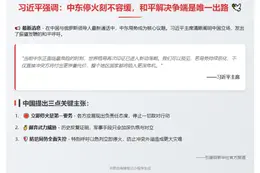 习近平：停火优先，和平解决争端