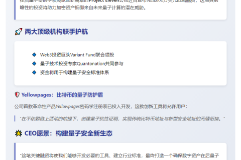 「Project Eleven 获 600 万美元融资，Variant Fund、Quantonation 领投」