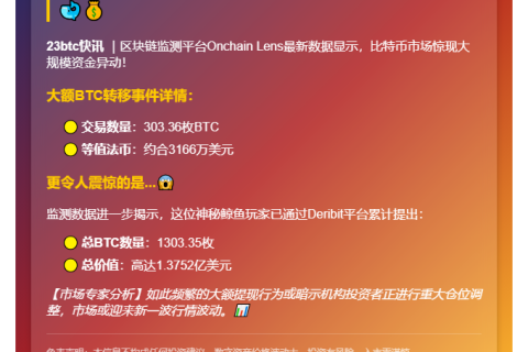 鲸鱼6小时提303枚BTC